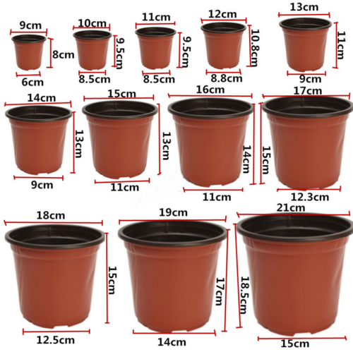 100pcs  Plastic Plant Flower Pots Nursery Seedlings Pot Plant Us