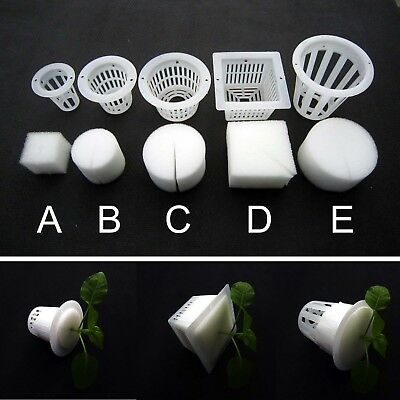 10 Clear White Mesh Pot Net Basket + Clone Cloning Collar Foam Insert Hydroponic